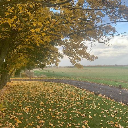 Oak Cottage At Gravel Farm Stretham Luaran gambar